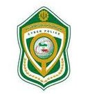 پلیس فتا