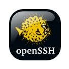 OpenSSH