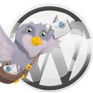 افزونه WordPress